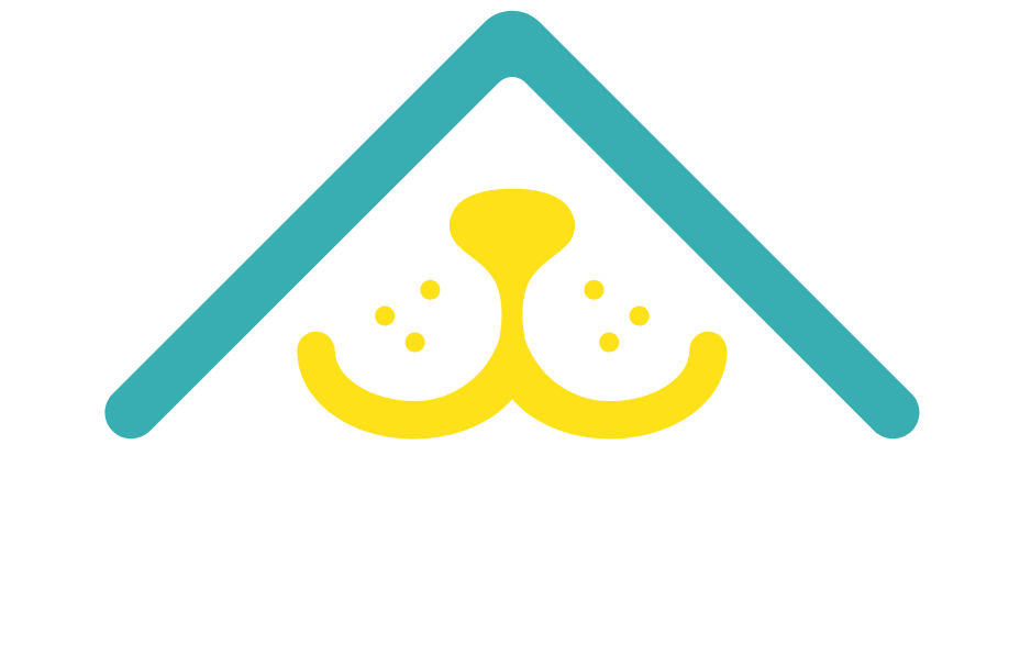Cozlio